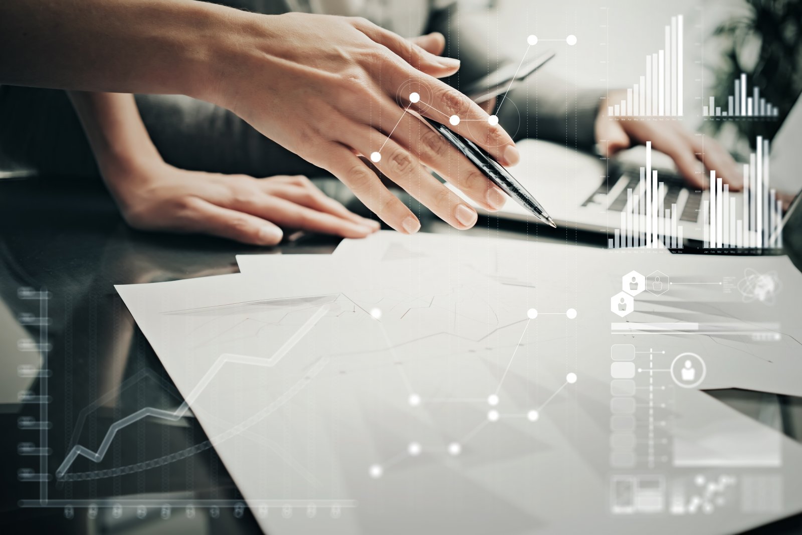 Phasellus nec varius nisi